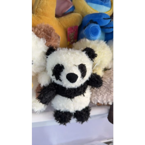 小熊猫